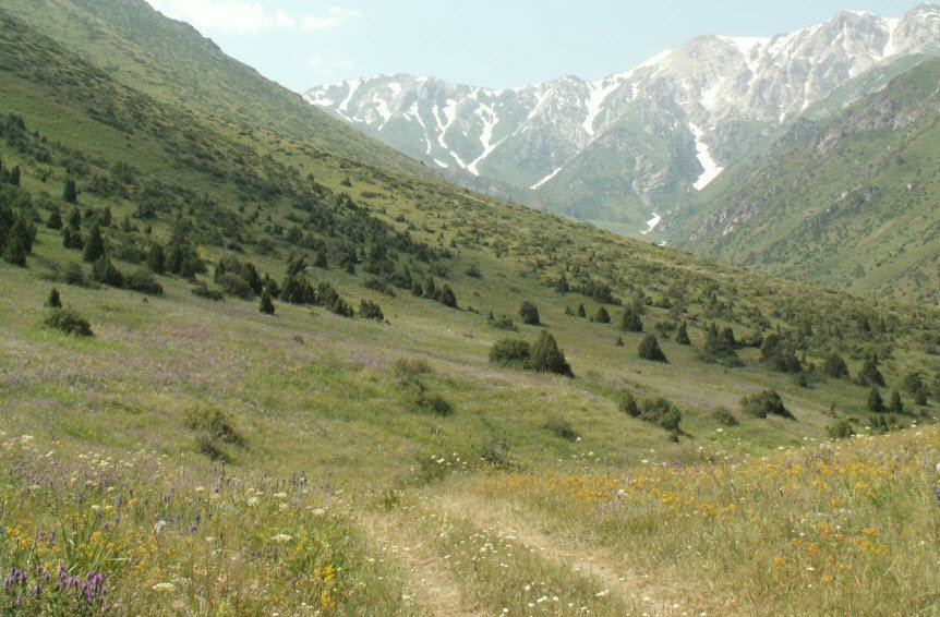 Aksu-Zhabagly Nature Reserve, South Kazakhstan Region, Kazakhstan